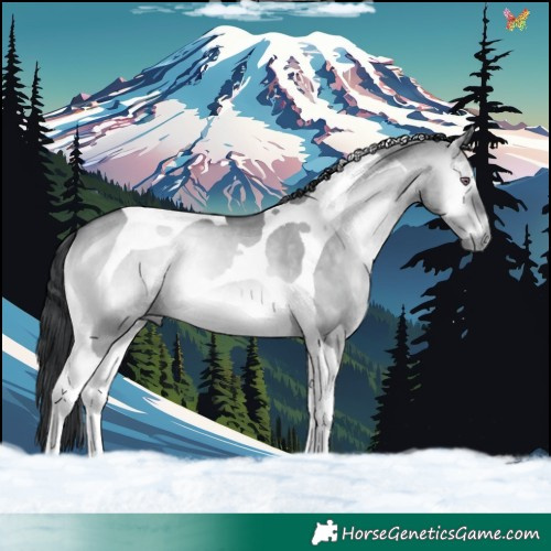 Horse Color:Brown Chinchilla Onyx Tobiano 