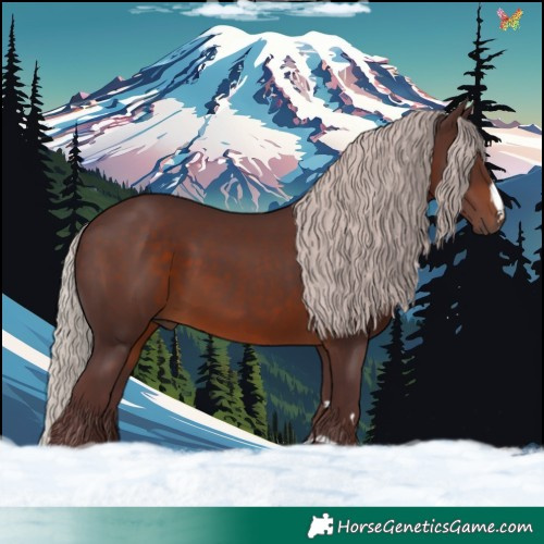 Horse Color:Chocolate Silver Brown 