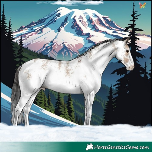 Horse Color:White Spotted Brown Dun 