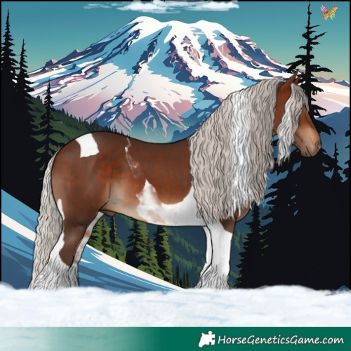 Horse Color:Silver Brown Tobiano 