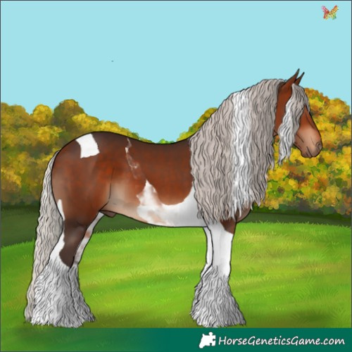 Horse Color:Silver Brown Tobiano 