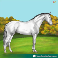 Horse Color:Bay Chinchilla Onyx Tobiano 
