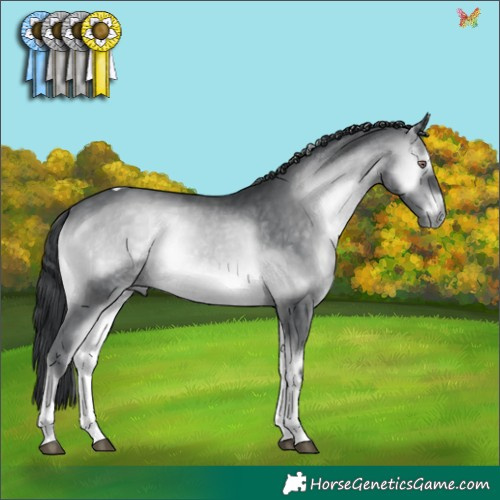 Horse Color:Brown Chinchilla Onyx Tobiano 