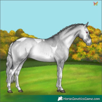 Horse Color:Silver Brown Chinchilla Onyx Tobiano