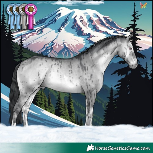 Horse Color:Brown Chinchilla Onyx Tobiano Brindle 