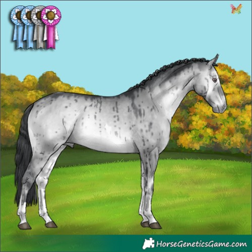 Horse Color:Brown Chinchilla Onyx Tobiano Brindle 