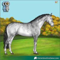 Horse Color:Brown Chinchilla Onyx Tobiano Brindle 