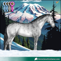 Horse Color:Brown Chinchilla Onyx Tobiano Brindle 