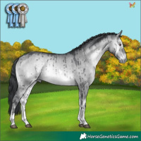 Horse Color:Brown Chinchilla Onyx Tobiano Brindle 