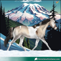 Horse Color:Brown Onyx Tobiano 