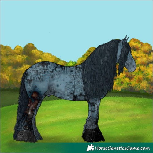 Horse Color:ERROR: UNKNOWN ANOMALY