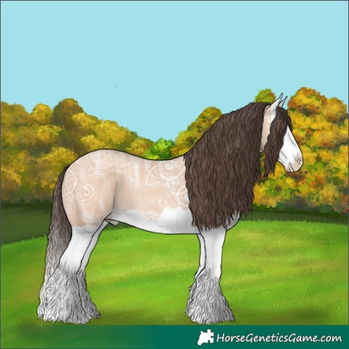 Horse Color:Amber Champagne Ice Splash 