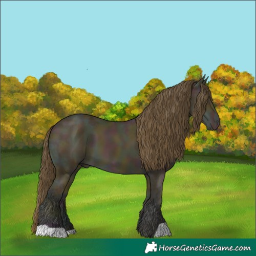 Horse Color:Midnight Amber Cream Champagne Ice Dun 