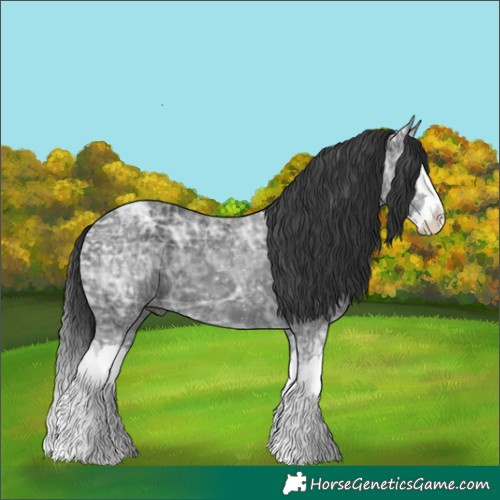 Horse Color:Black Ice Splash 
