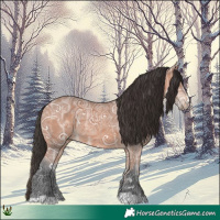 Horse Color:Bay Ice 