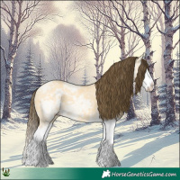Horse Color:Amber Cream Champagne Ice Dun Splash 