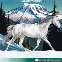 Horse Color:White Spotted Silver Bay Chinchilla Onyx Tobiano Brindle 