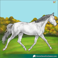 Horse Color:White Spotted Silver Bay Chinchilla Onyx Tobiano Brindle