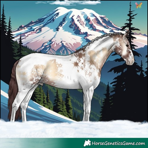 Horse Color:White Spotted Chocolate Brown Onyx Tobiano 