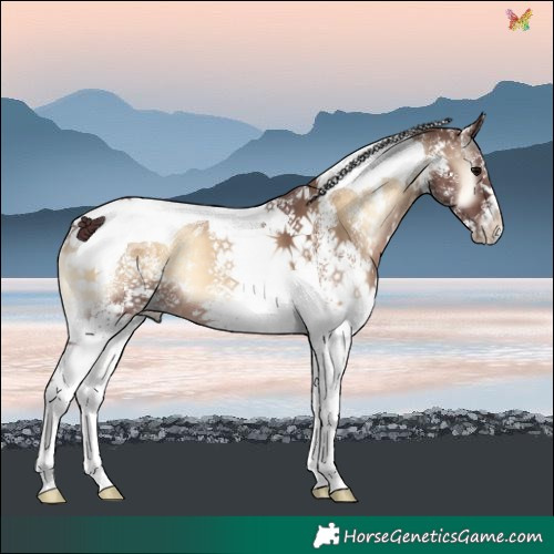 Horse Color:White Spotted Chocolate Brown Onyx Tobiano 