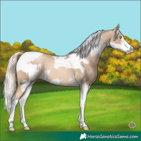 Horse Color:Chocolate Palomino Pearl Tobiano Frame and Chocolate Palomino Pearl Tobiano Frame