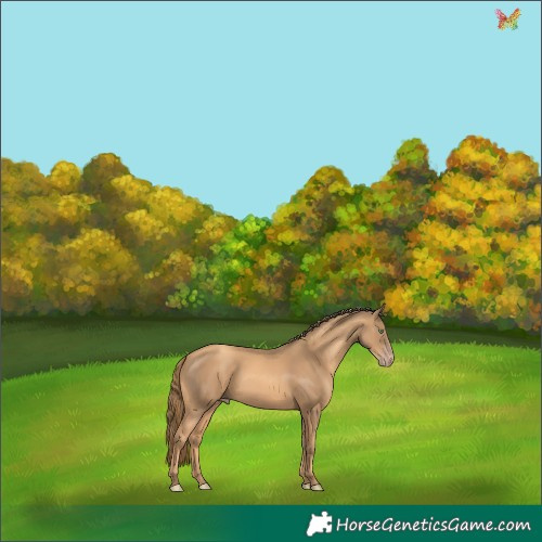 Horse Color:Gold Champagne 
