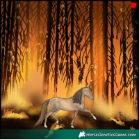 Horse Color:Gold Champagne 