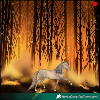 Horse Color:Gold Champagne 