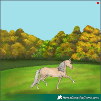 Horse Color:Gold Cream Champagne