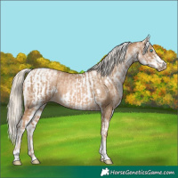 Horse Color:Chocolate Palomino Pearl Tobiano Frame and White Spotted Chocolate Palomino Pearl Tobiano Frame