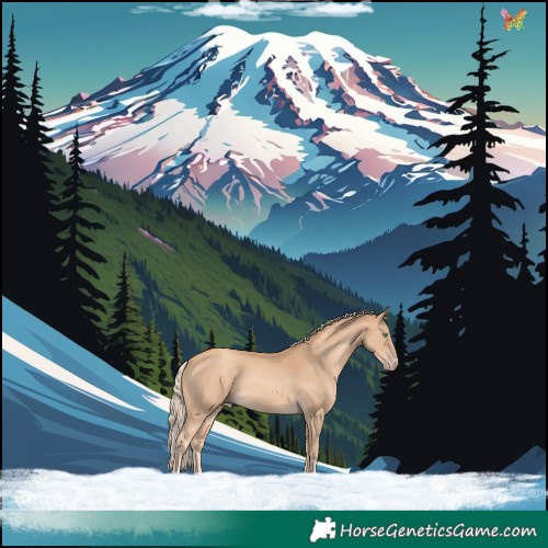 Horse Color:Gold Cream Champagne 