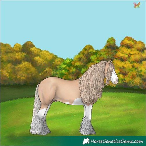 Horse Color:Gold Champagne Splash 