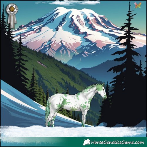 Horse Color:Watercolor White Spotted Brown Dun Sabino Splash 