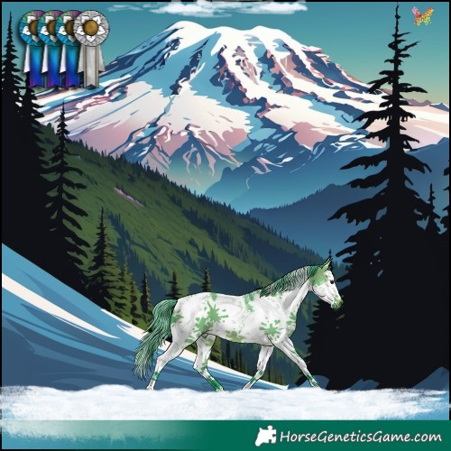Horse Color:Watercolor White Spotted Brown Dun Sabino Splash 