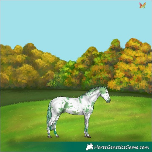 Horse Color:Watercolor White Spotted Brown Dun Sabino Splash 