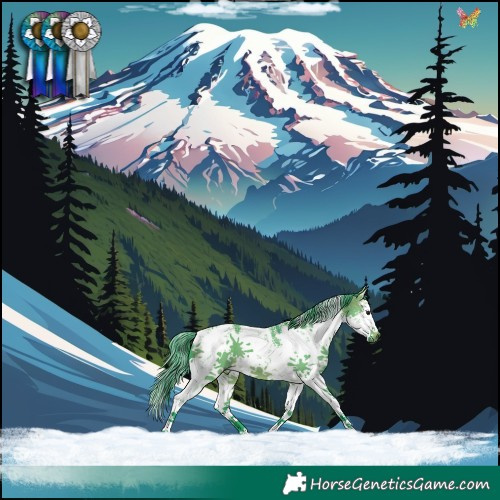 Horse Color:Watercolor White Spotted Brown Dun Sabino Splash 