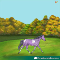 Horse Color:Watercolor Bay Dun Splash Tobiano 