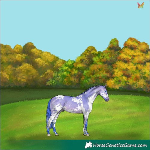 Horse Color:Watercolor Bay Dun Splash Tobiano 