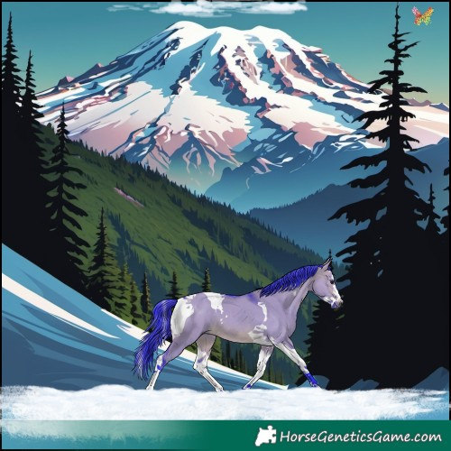 Horse Color:Watercolor Brown Dun Splash Tobiano 