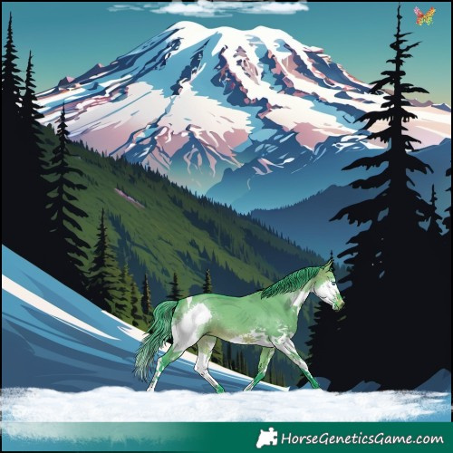 Horse Color:Watercolor Brown Dun Splash Tobiano 