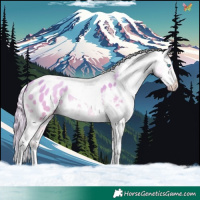 Horse Color:Gold Cream Champagne Pearl Dun Tobiano Appaloosa Rabicano 