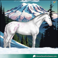 Horse Color:Gold Cream Champagne Pearl Tobiano Appaloosa Rabicano