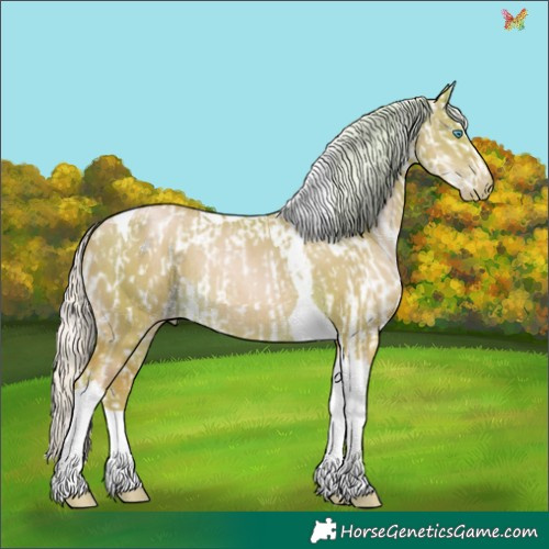 Horse Color:Silver Amber Champagne Pearl Dun Tobiano Blanket Rabicano  and Silver Amber Cream Champagne Pearl Dun Tobiano Rabicano 