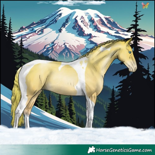 Horse Color:Gold Champagne Pearl Tobiano Rabicano 