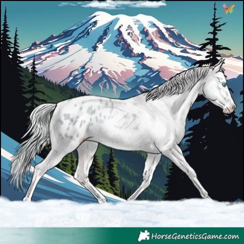 Horse Color:Silver Amber Cream Champagne Pearl Dun Tobiano Appaloosa Rabicano 