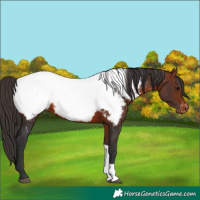 Horse Color:Bay Tobiano Near Fewspot 
