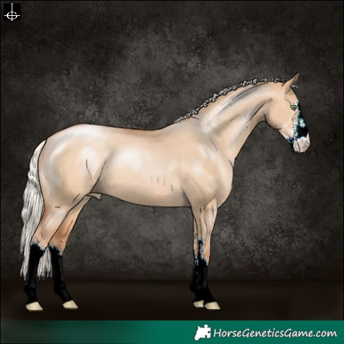 Horse Color:Silver Brown Pearl Dun Sabino 