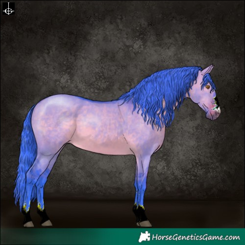 Horse Color:Watercolor Brown Dun 