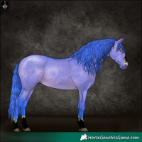 Horse Color:Watercolor Brown Dun