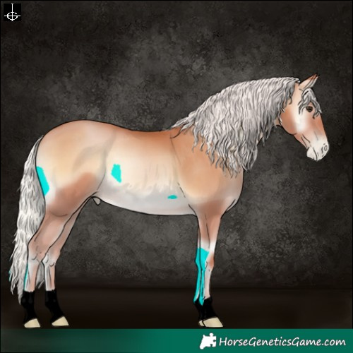 Horse Color:Silver Bay Pearl Onyx 